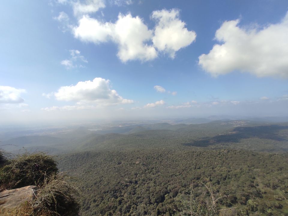 Photo of Bengaluru to B. R. hills and back 16/17 by Apoorva CG