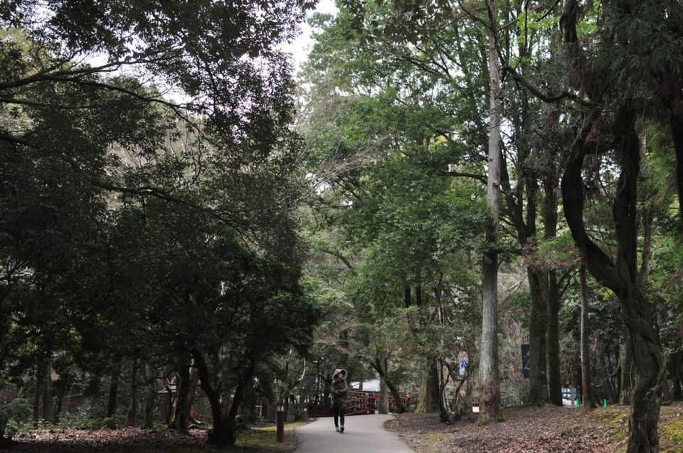 Photo of Nara by Lifetime Travelmates