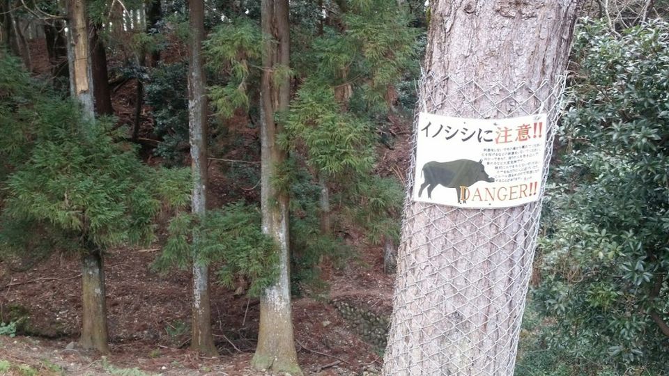 Photo of Nara by Lifetime Travelmates
