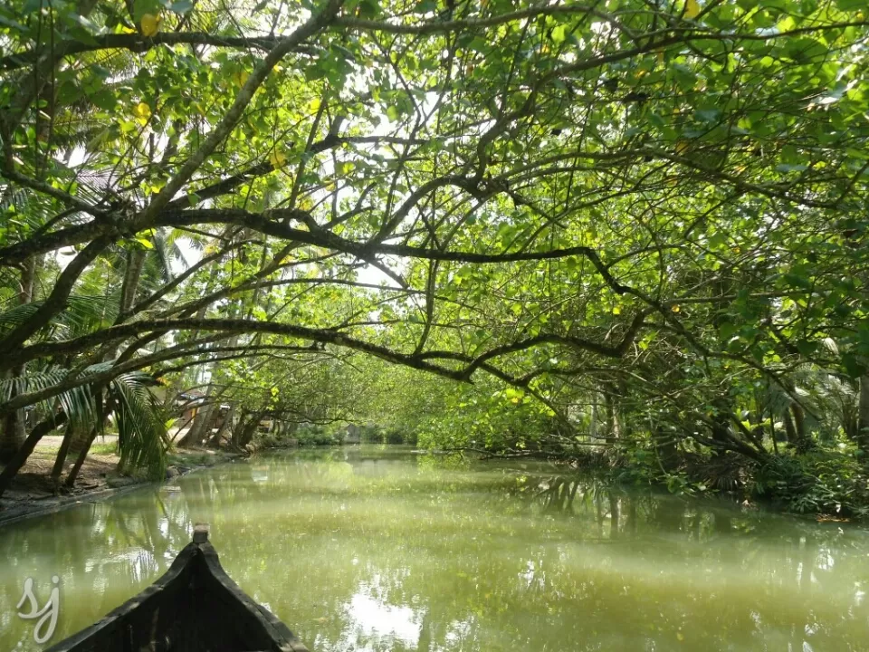 Photo of Munroturuttu, Munroe Island, Kerala, India by Sreedevi Jeevan