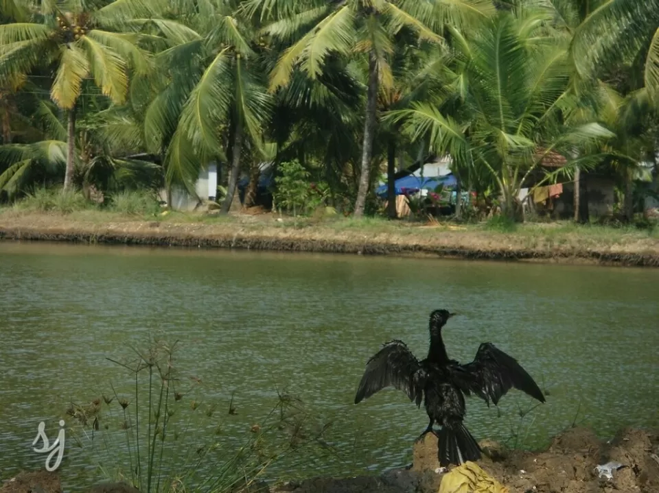 Photo of Munroturuttu, Munroe Island, Kerala, India by Sreedevi Jeevan