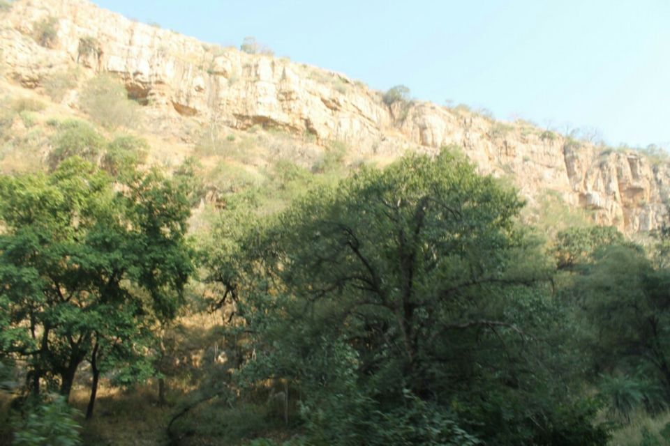 Photo of No luck with Big cats Ranthambore memories by Sreedevi Jeevan