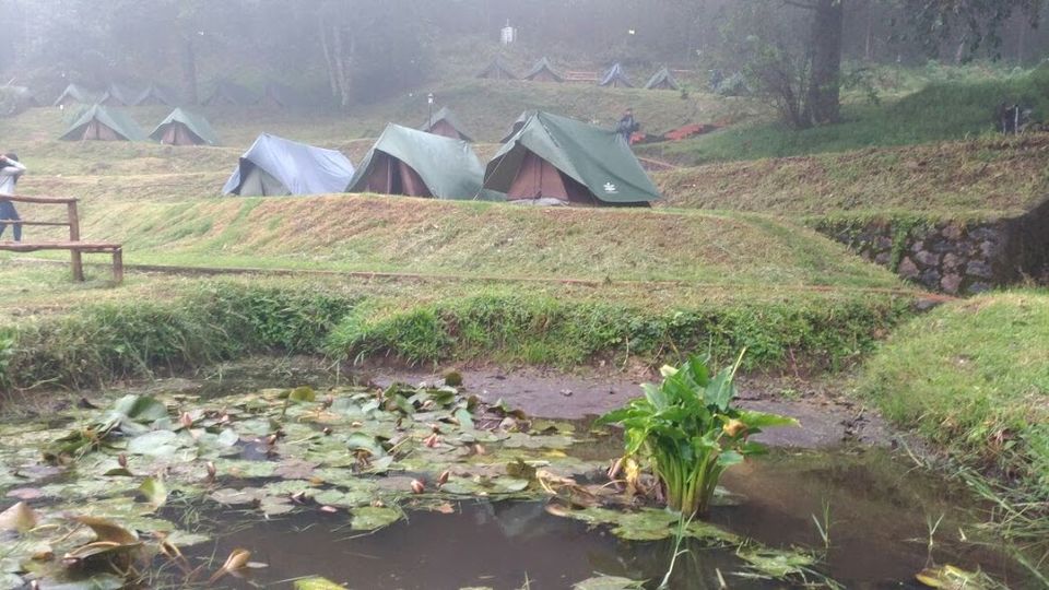 Photo of Munnar, Kerala, India by Sreedevi Jeevan