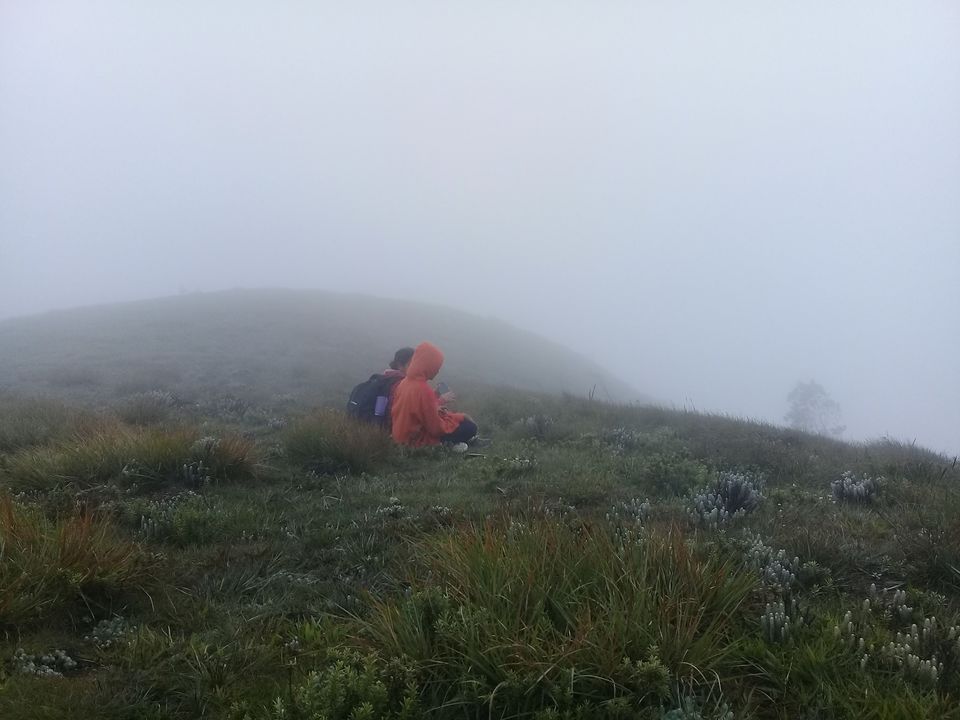 Photo of Meesapulimala, Kannan Devan Hills, Tamil Nadu by Sreedevi Jeevan