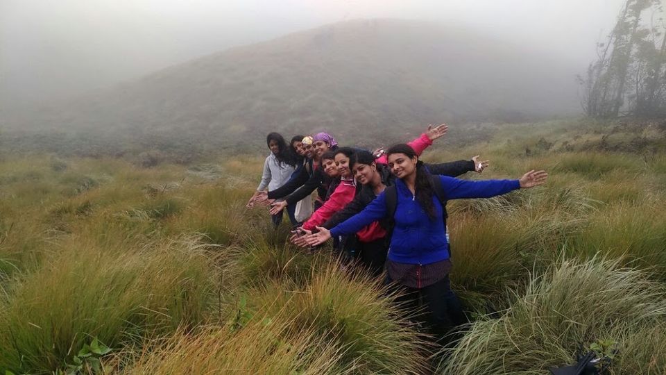 Photo of Meesapulimala, Kannan Devan Hills, Tamil Nadu by Sreedevi Jeevan