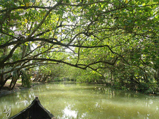 Photo of Munroe Island (Munrothuruth) 2/2 by Sreedevi Jeevan