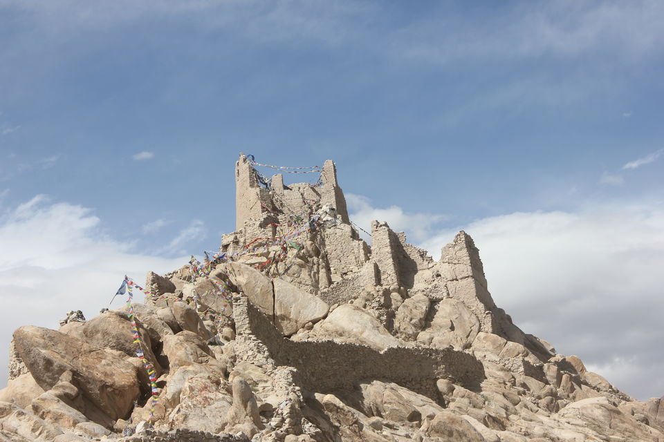 Photo of Journey to the Heavenly Ladakh 66/138 by Nisha Rao