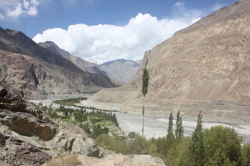 Photo of Journey to the Heavenly Ladakh 80/138 by Nisha Rao