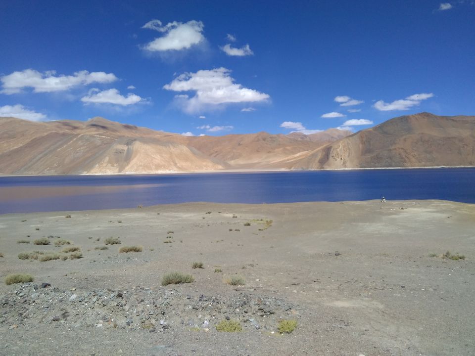 Photo of Journey to the Heavenly Ladakh 110/138 by Nisha Rao