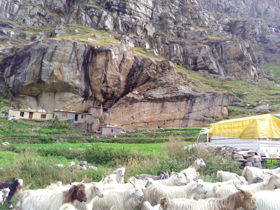 Photo of Journey to the Heavenly Ladakh 121/138 by Nisha Rao
