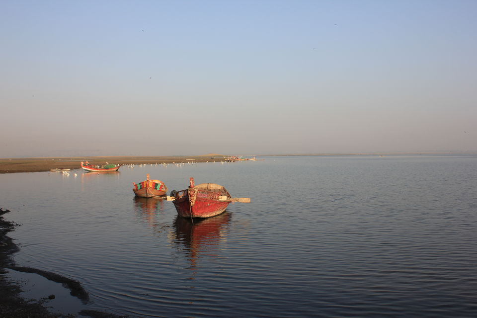 Photo of Around Pune : Bhigwan Bird Sanctuary & Mayureshwar Wildlife Sanctuary 1/22 by Nisha Rao