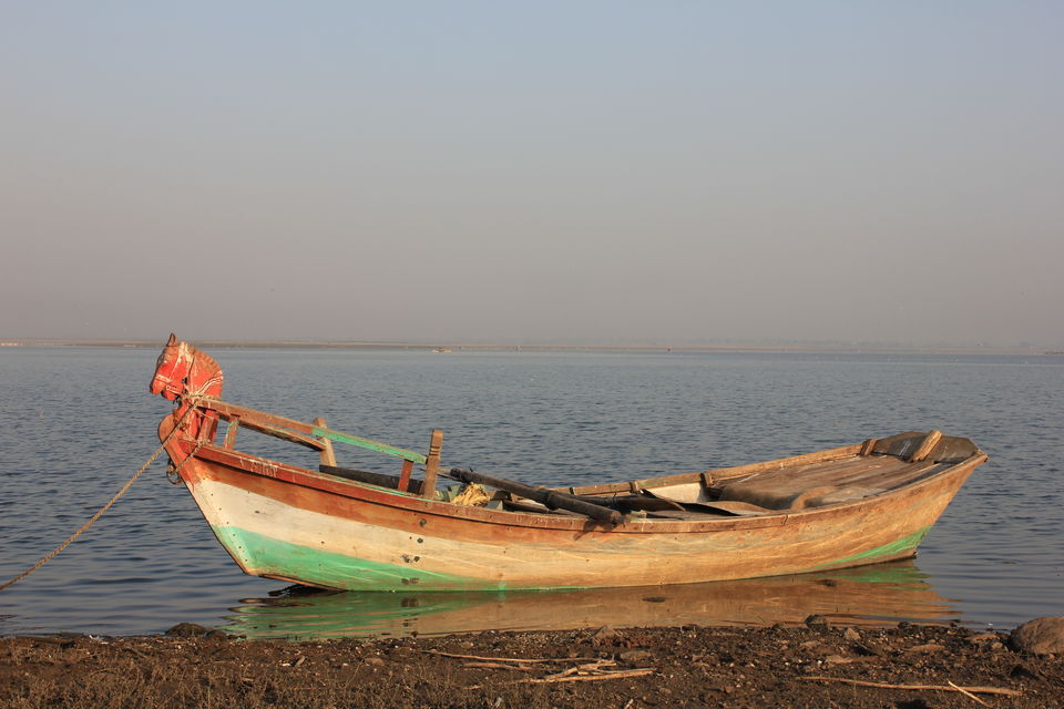 Photo of Around Pune : Bhigwan Bird Sanctuary & Mayureshwar Wildlife Sanctuary 3/22 by Nisha Rao