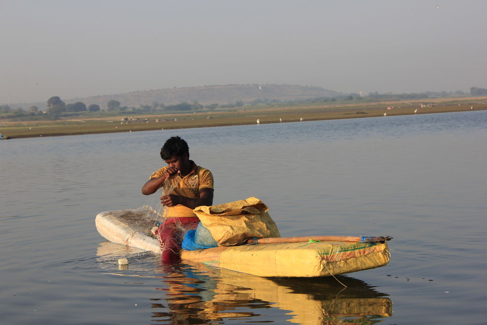 Photo of Around Pune : Bhigwan Bird Sanctuary & Mayureshwar Wildlife Sanctuary 5/22 by Nisha Rao