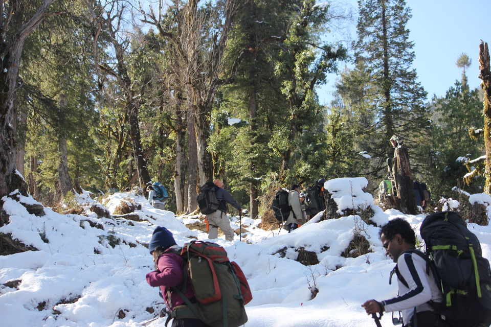 Photo of My first Himalayan adventure – Trek to Kedarkantha 6/54 by Nisha Rao