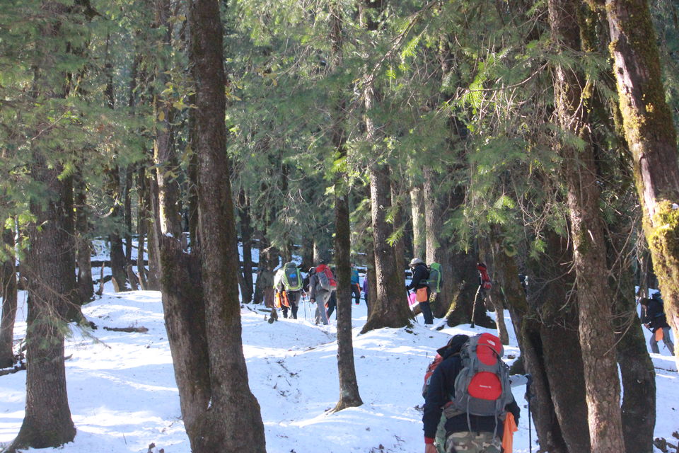 Photo of My first Himalayan adventure – Trek to Kedarkantha 14/54 by Nisha Rao