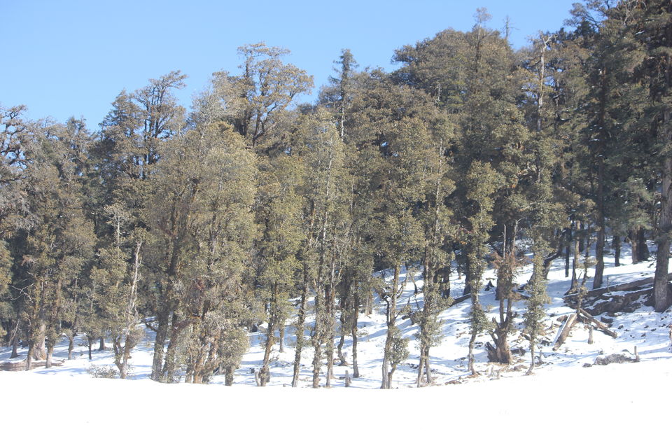 Photo of My first Himalayan adventure – Trek to Kedarkantha 21/54 by Nisha Rao