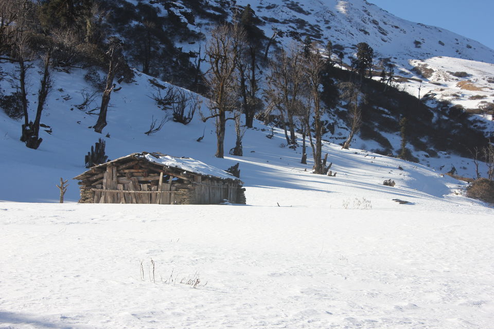 Photo of My first Himalayan adventure – Trek to Kedarkantha 33/54 by Nisha Rao