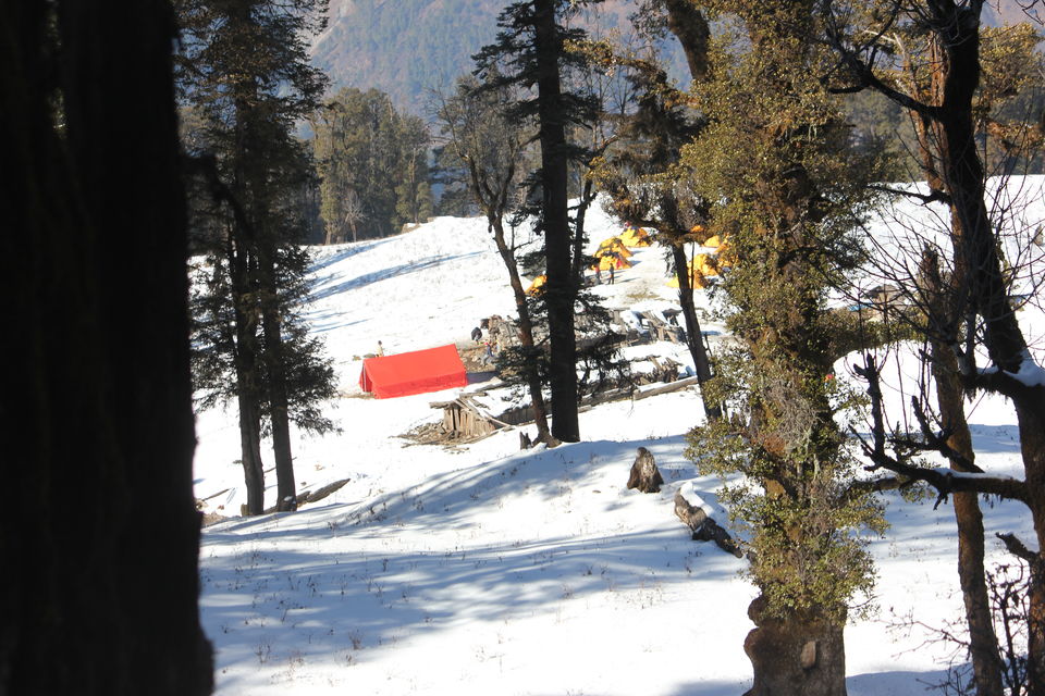 Photo of My first Himalayan adventure – Trek to Kedarkantha 48/54 by Nisha Rao