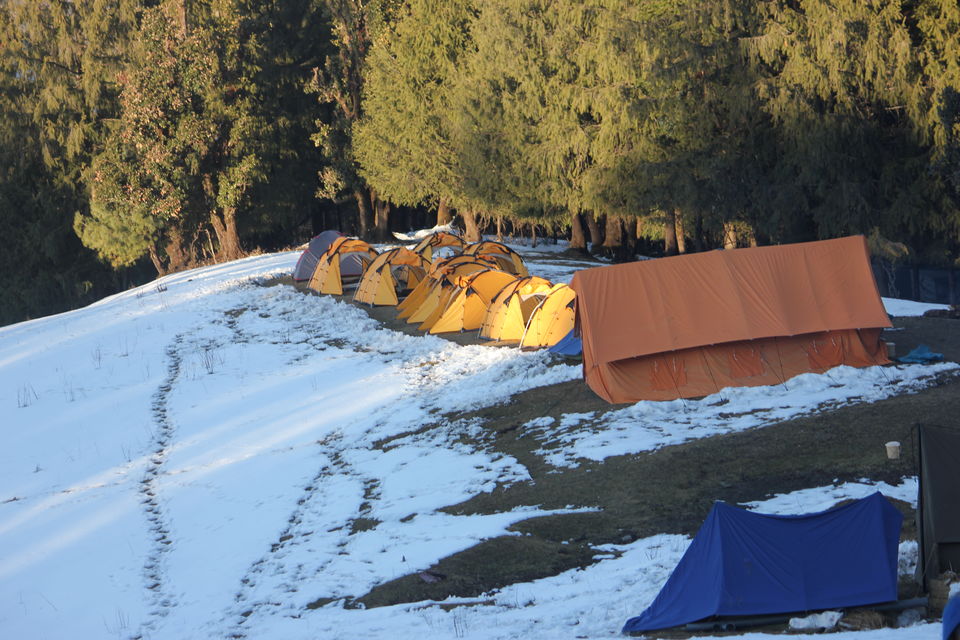 Photo of My first Himalayan adventure – Trek to Kedarkantha 49/54 by Nisha Rao