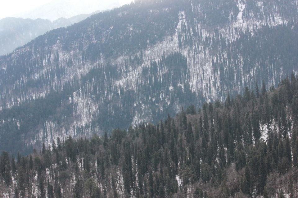 Photo of My first Himalayan adventure – Trek to Kedarkantha 53/54 by Nisha Rao
