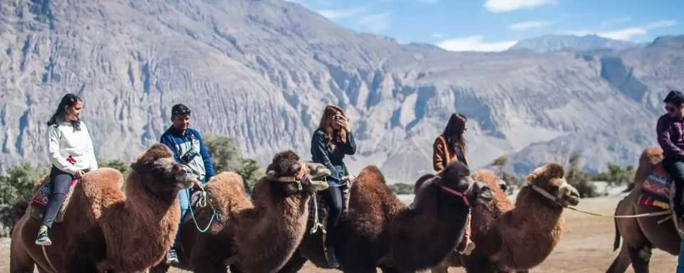 Photo of Nubra Valley by Bunk Tribe