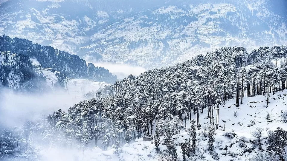 Photo of Patni Top Park, Patnitop by Bunk Tribe