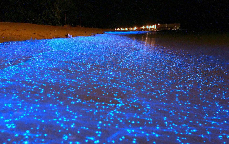 Photo of Krabi - The kind of location bucket lists are made of!! 2/9 by The Roving Heart