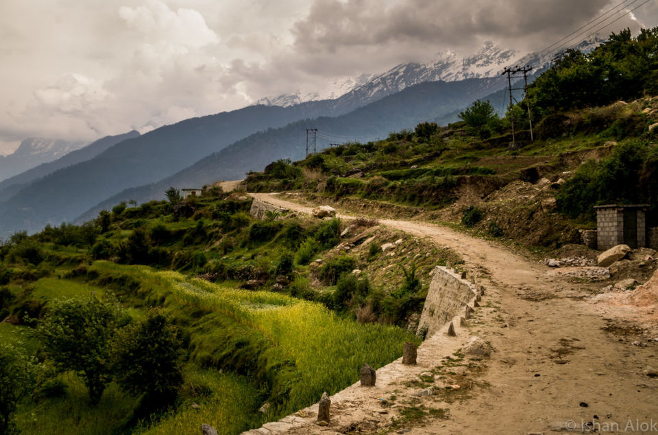 Photo of Kuari Pass trek - My first trek to the lap of Himalayas#HiddenSpotsTripoto 2/6 by The Roving Heart