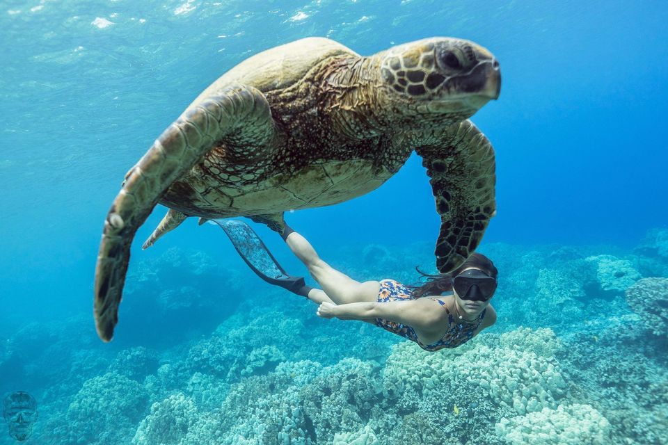 Photo of Here's a SECRET no one tells you about Maldives! 2/6 by The Roving Heart