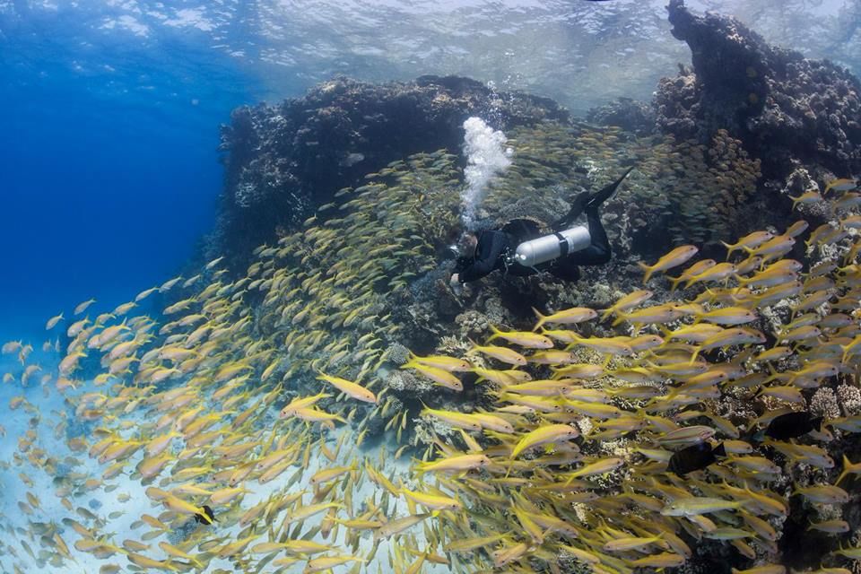 Photo of Here's a SECRET no one tells you about Maldives! 3/6 by The Roving Heart