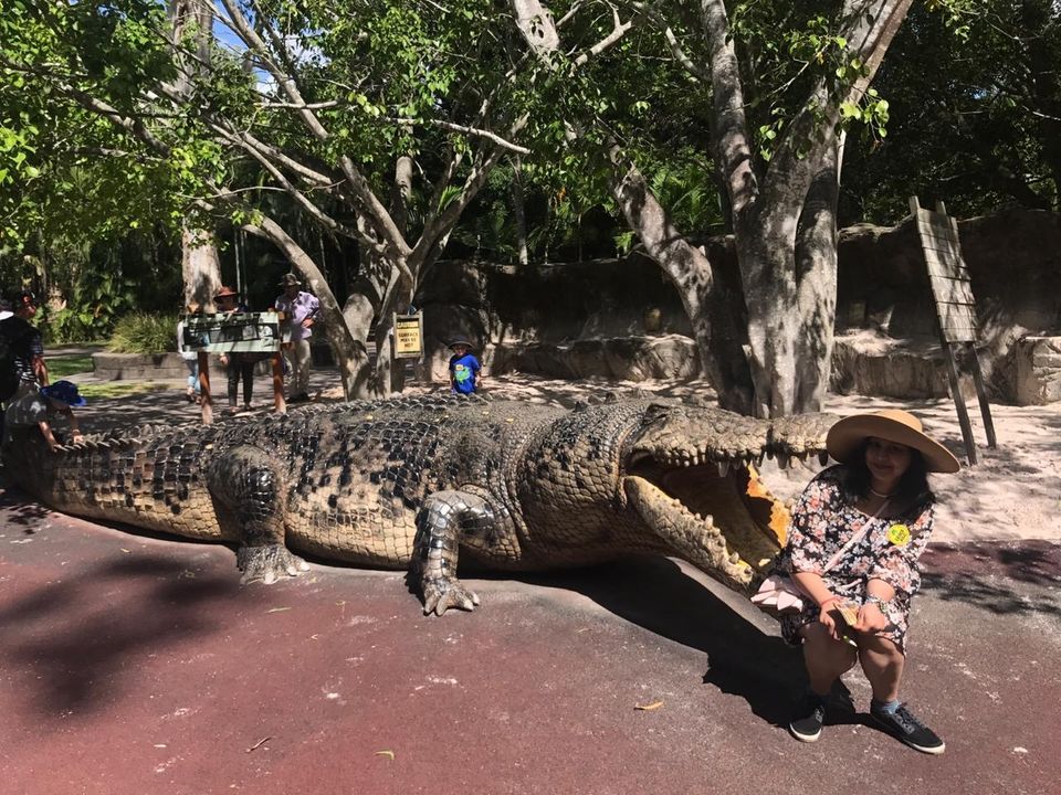 Photo of Discovering Crocodile 🐊 love at Steve Irwin Zoo..!! by Surbhi Shree