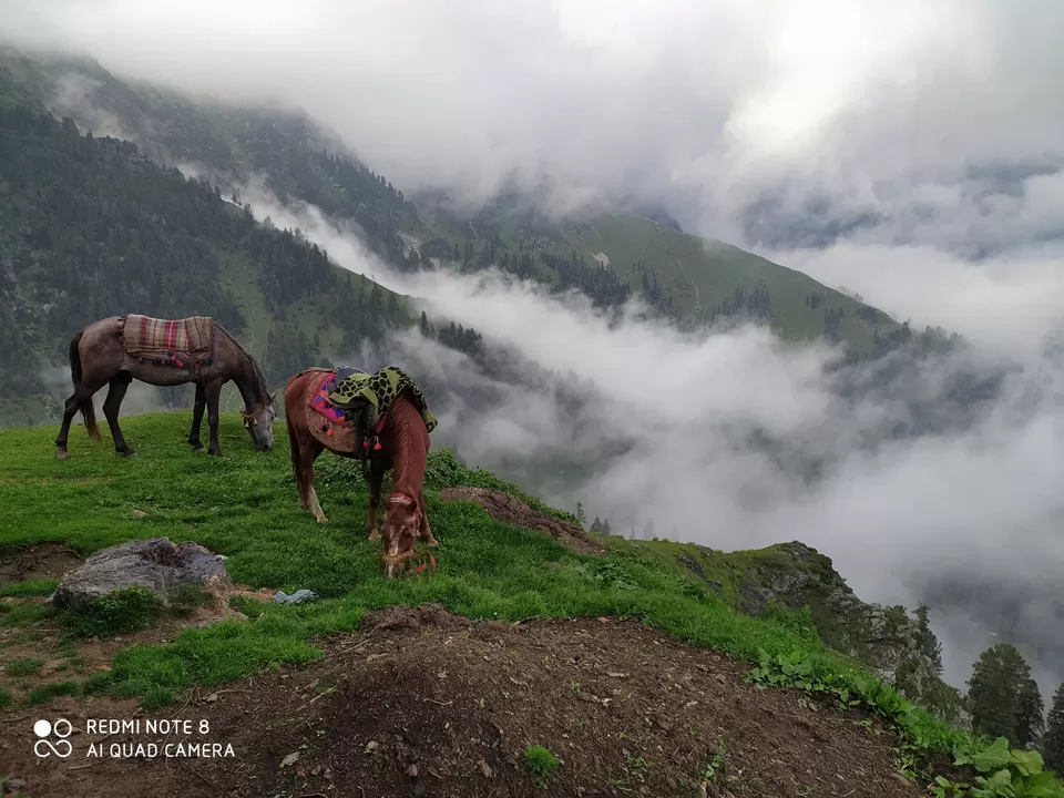 Photo of Gajnawali by Raj Malik