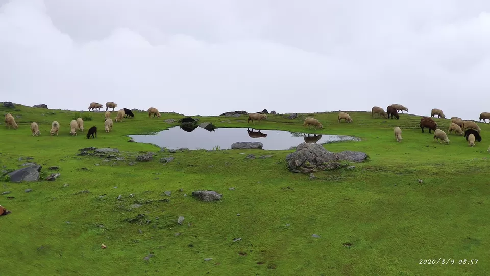 Photo of Gajnawali by Raj Malik