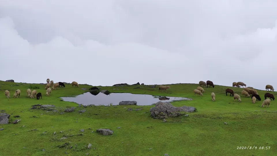 Photo of Gajnawali by Raj Malik