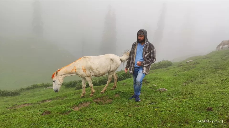 Photo of Gajnawali by Raj Malik