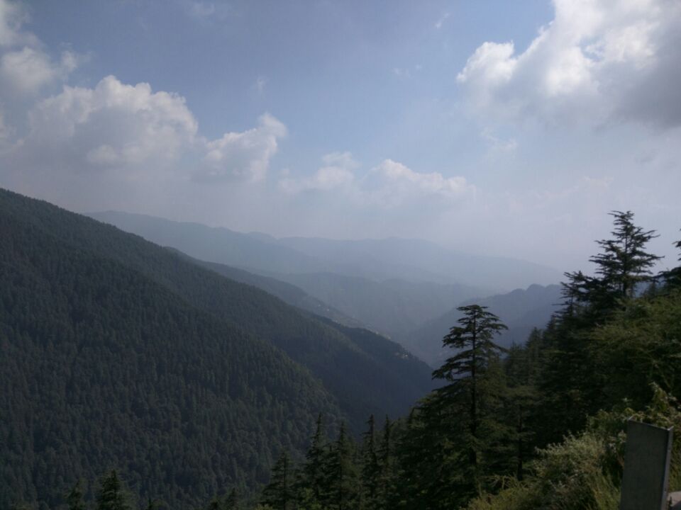 Weekend getaway to Chail, Himachal Pradesh - Tripoto