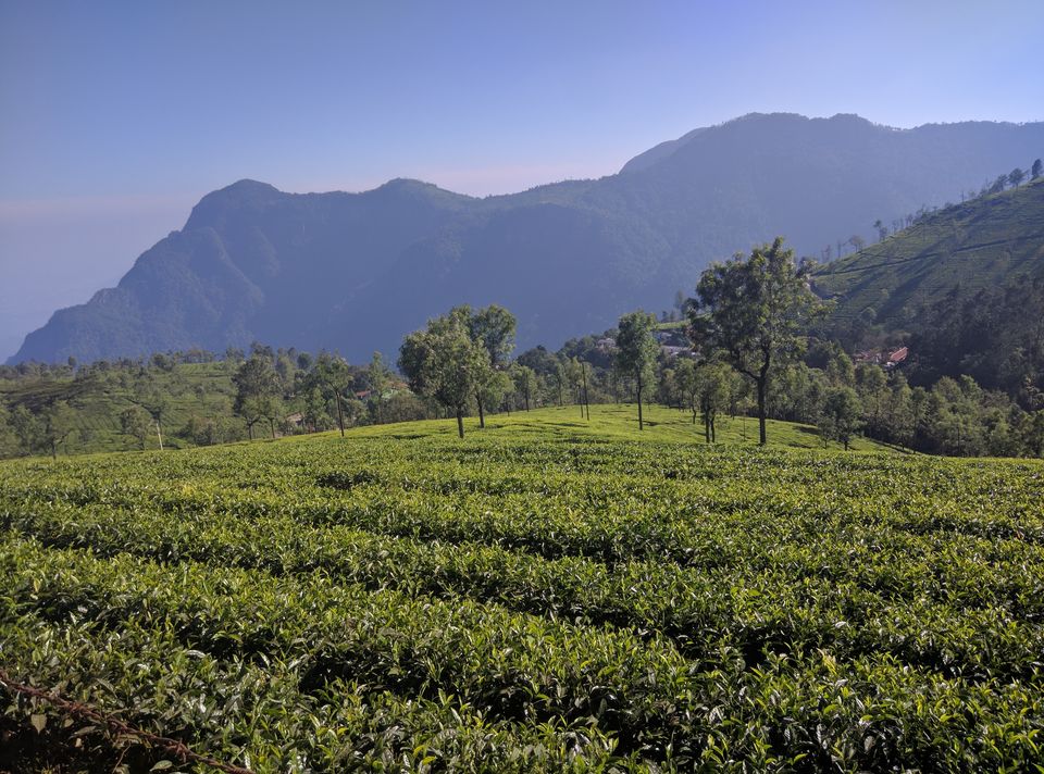 Photo of A perfect good bye- back packing through Ooty-Coonoor-Coorg-Bangalore by Lily Bilung