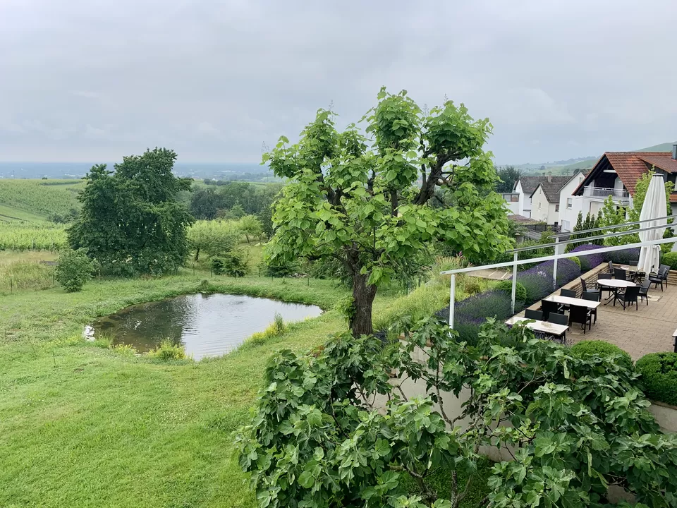 Photo of Hotel-Restaurant Rebenhof, Weinstraße, Baden-Baden, Germany by Sucheta Sarkar