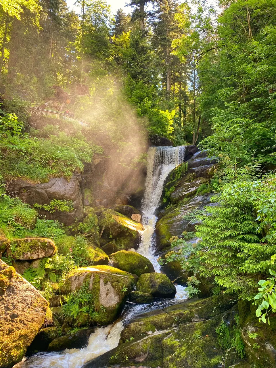 Photo of Triberg Waterfalls, Schönwälder Straße, Triberg, Germany by Sucheta Sarkar