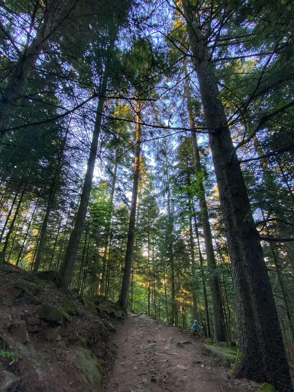 Photo of Bad Wildbad, Germany by Sucheta Sarkar