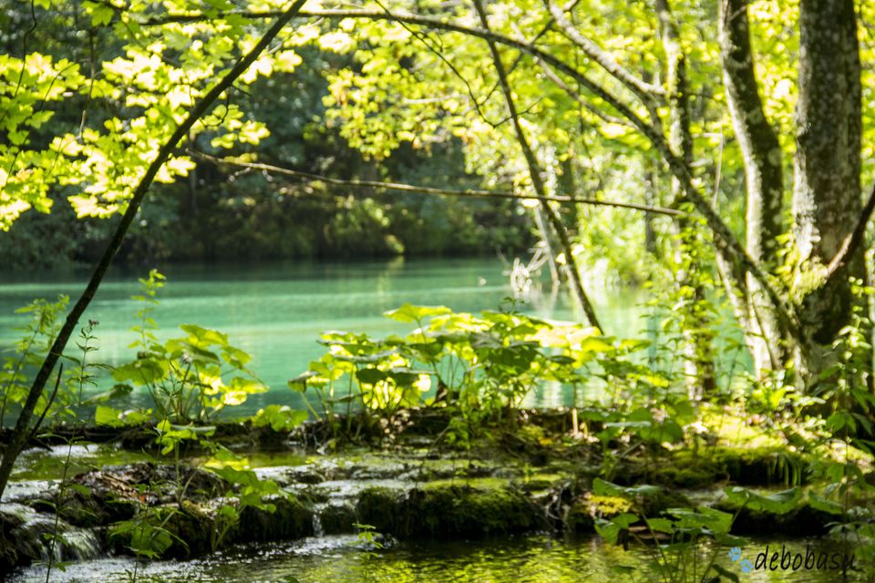 Photo of Croatia Road Trip – Plitvice National Park 2/8 by debomita basu