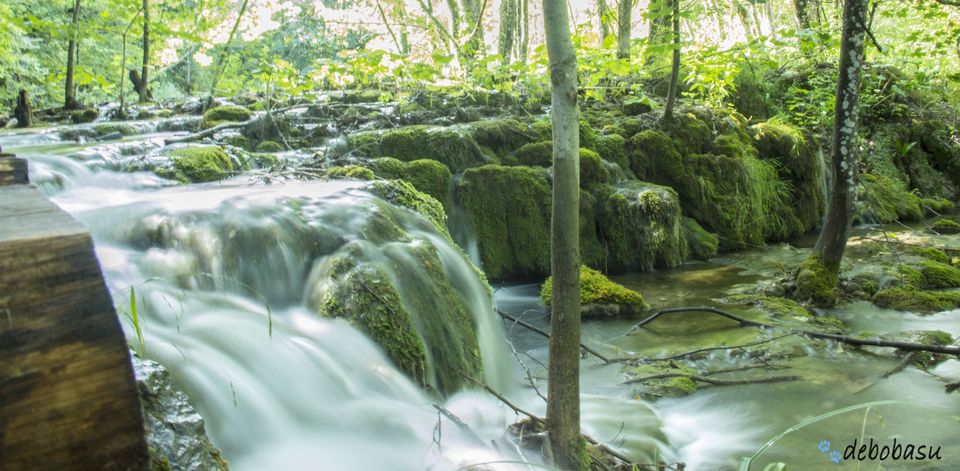 Photo of Croatia Road Trip – Plitvice National Park 3/8 by debomita basu
