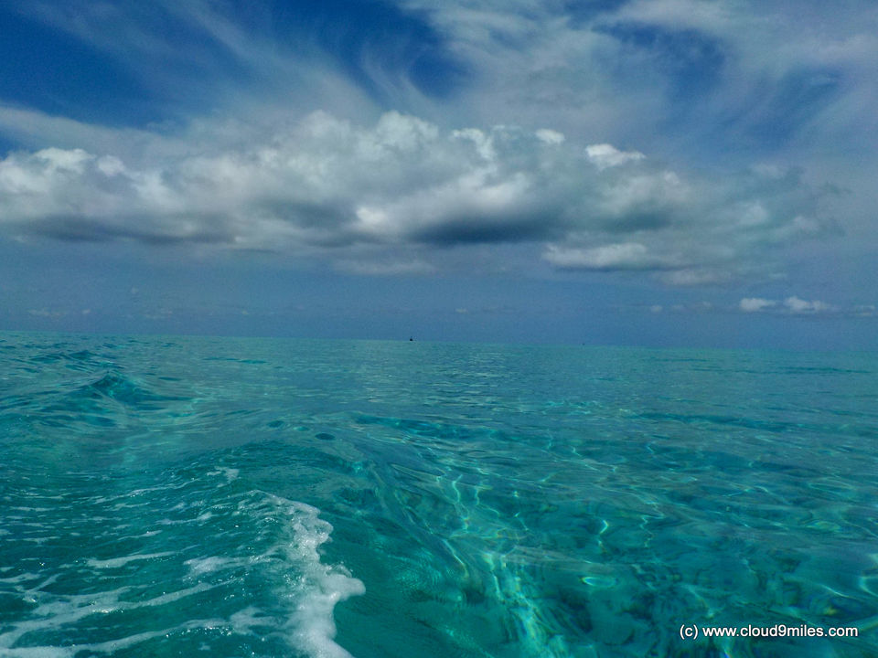 Photo of Scuba Diving – Lakshadweep! 12/12 by Cloud9miles