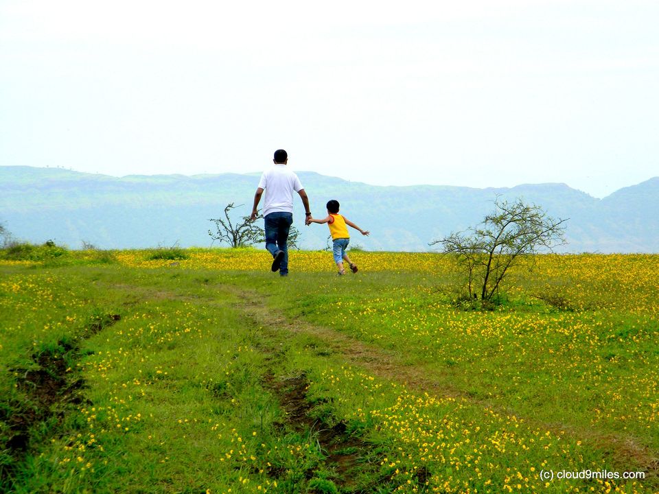 Photo of Kaas Plateau (Kaas Pathar) – The valley of Flowers – World Heritage Site 3/22 by Cloud9miles