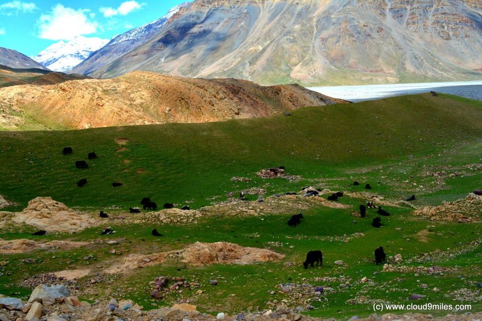 Photo of Spiti Expedition - Kunzum Pass - Cloud9miles - Indian Travel and Fashion Blog 8/26 by Cloud9miles