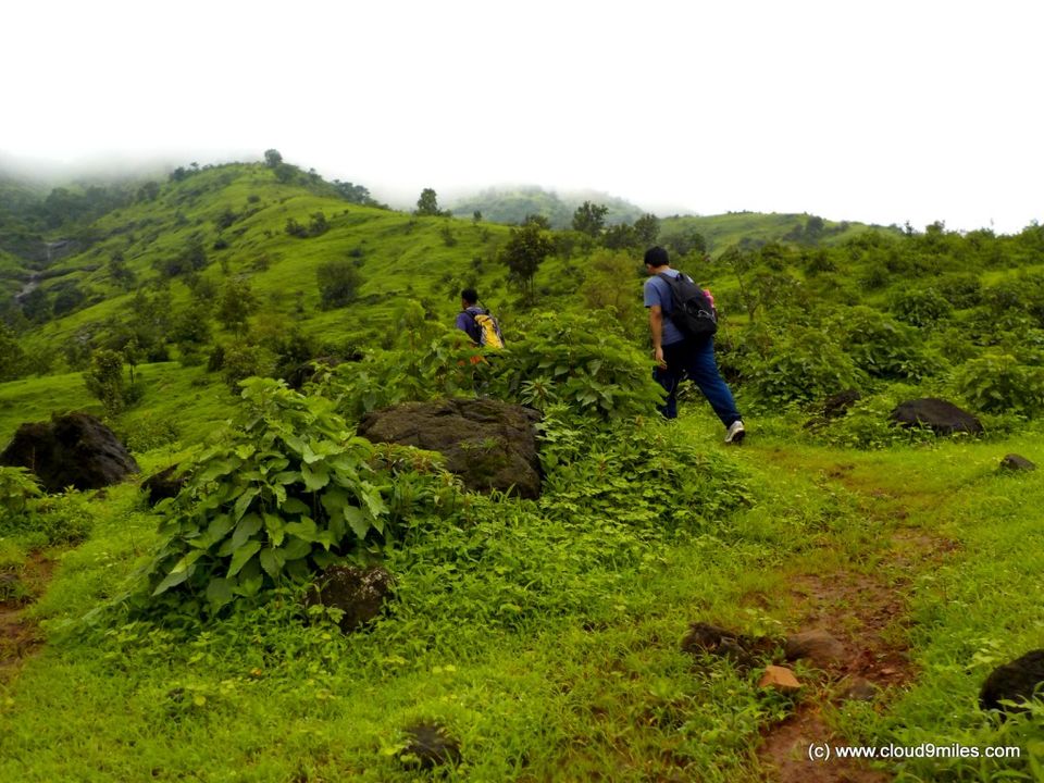 Photo of A Trek to Garbett Plateau!!! by Cloud9miles