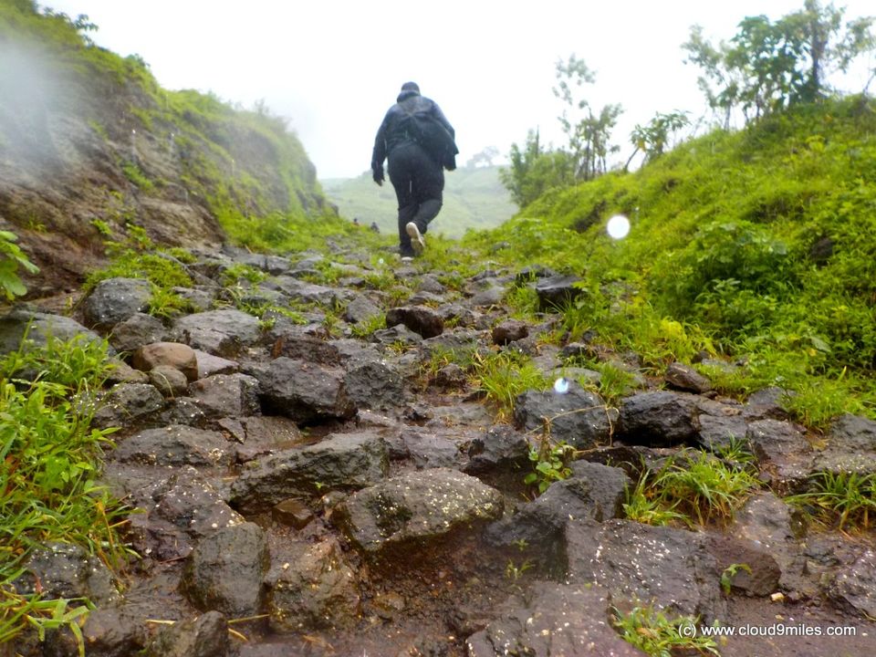 Photo of A Trek to Garbett Plateau!!! by Cloud9miles
