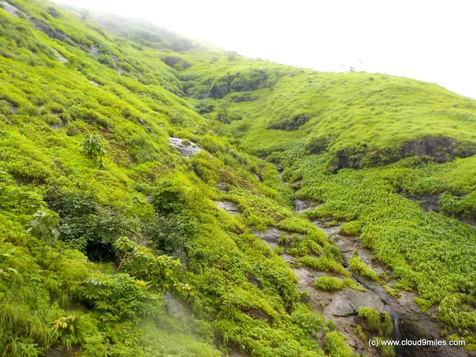 Photo of A Trek to Garbett Plateau!!! by Cloud9miles