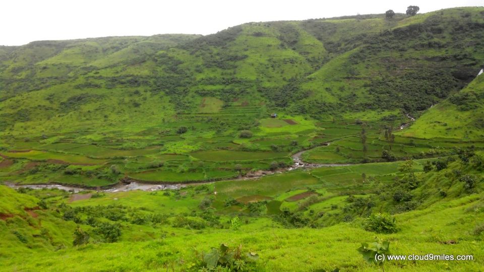 Photo of A Trek to Garbett Plateau!!! by Cloud9miles