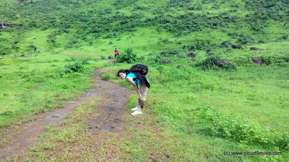 Photo of A Trek to Garbett Plateau!!! by Cloud9miles